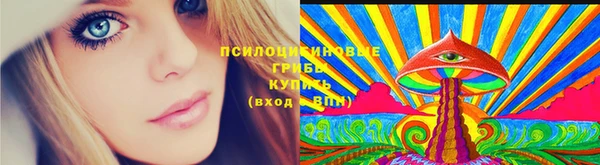 спайс Гусиноозёрск