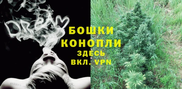 мяу мяу кристалл Гусь-Хрустальный