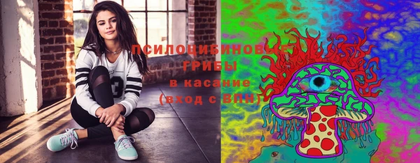 мяу мяу кристалл Гусь-Хрустальный