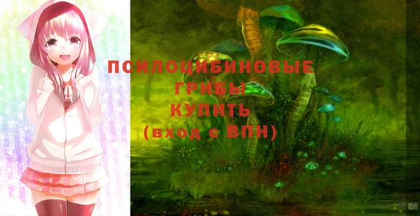 метадон Гусев