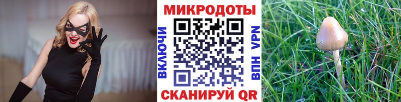 kraken ТОР  Москва  Псилоцибиновые грибы ЛСД  дарнет шоп 