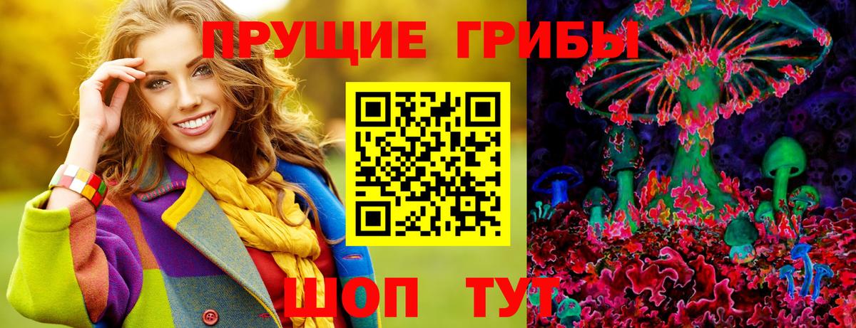Галлюциногенные грибы Psilocybe  Вход с VPN  Псилоцибиновые грибы мицелий  Москва 